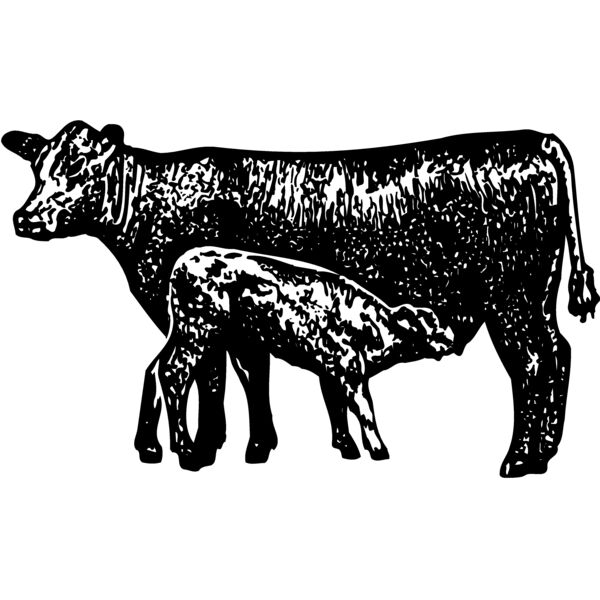 COW029 Thumbnail