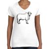 Women's Fine Jersey V-Neck Tee Thumbnail